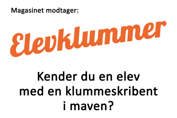 Hvad optager friskoleelever?