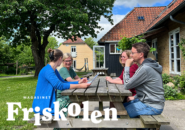 Udgivelser om prøve- og karakterfrihed