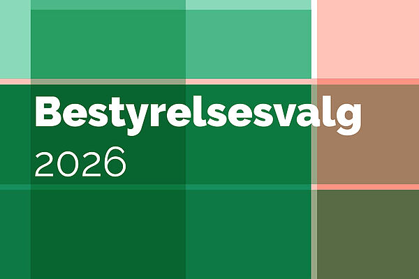 De seks kandidater til FRISKOLERNEs bestyrelsesvalg 2026