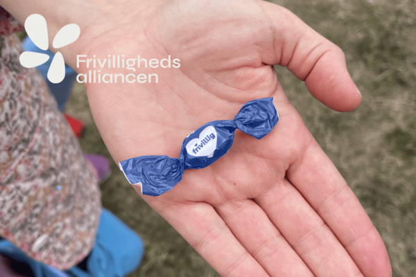 20 nye skoler er trådt ind i Frivillighedsalliancen