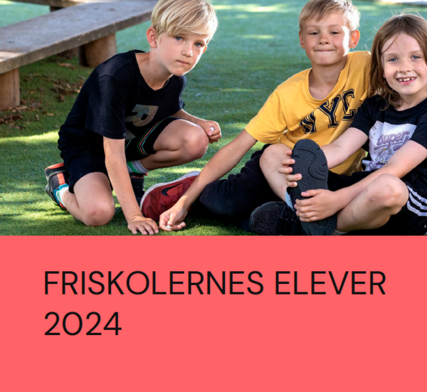 Ny analyse: Skoleelevers socio-økonomi